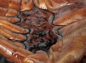 Petrolü hırsızlara kaptırdı