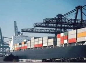 Serbest ticaret anlaşmasına, Gümrük Birliği engel