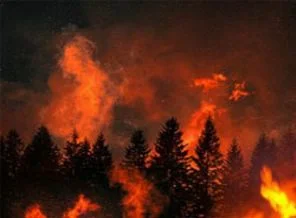 Sibirya'da yangın: 8 itfaiyeci öldü