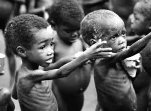 Somali Hükümeti gelen yardımları cebe indirmiş