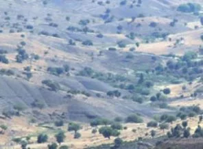 Suriye sınırında operasyon