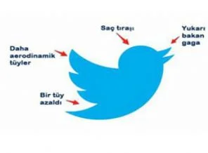 Twitter'ın kuşu saç tıraşı oldu