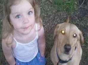 Yaşaması köpeğine bağlı
