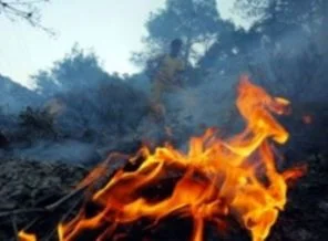 Balkanlar'da orman yangınları