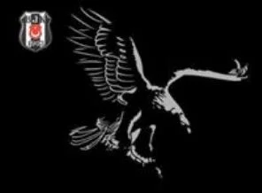 Beşiktaş'tan açıklama