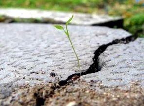 Çin, ilk deprem uyarı sistemini kuruyor