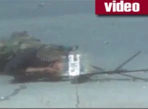 Halep caddelerinde asker cesetleri (video)