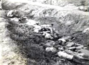 Hollanda'nın bir sabıkası daha ortaya çıktı
