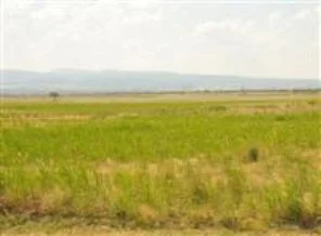 Karar arsa fiyatlarını beşe katladı