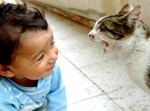 'Kedi ve Köpek'' bebeklerin sağlık kaynağı