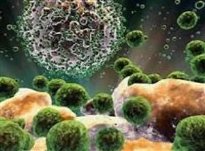 Kemik iliği nakli HIV'i yok etti