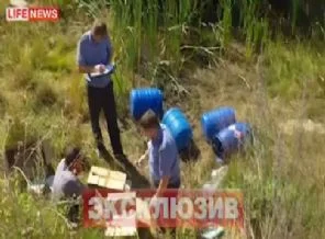 Ormana atılan fıçılardan 248 cenin çıktı
