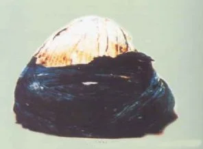 Peygamberimiz'in kişisel eşyaları