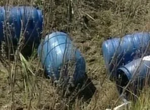 Rusya'da ormanda 248 cenin bulundu