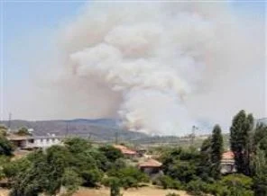 Sınırda 5 ayrı noktada yangın