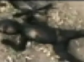 Suriye ordusundan yeni katliam