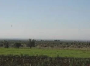 Suriye sınırında sessizlik