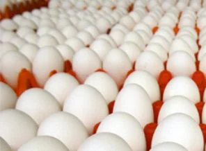 Türk yumurtası, AB'ye ilk adımını attı