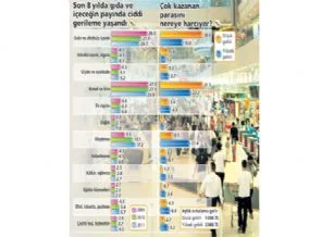 100 TL'yi nereye harcadık?