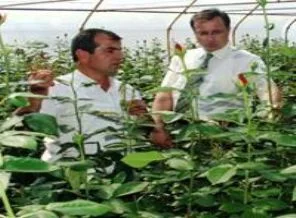 40 bin lira maaşlı eleman bulamıyor