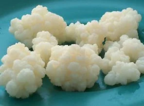 Bir sağlık iksiri 'Kefir'