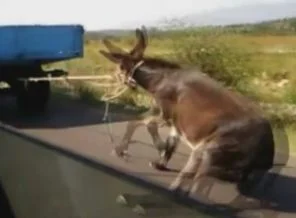 Bu kadar olmaz!
