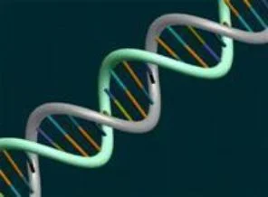 DNA'nın üzerine kitap yazdılar