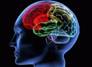 Epilepsi kadın ve erkeği farklı etkiliyor