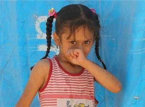 Halep ve Şam ağır ateş altında