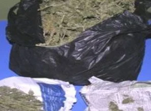 Macaristan'da uyuşturucu operasyonu