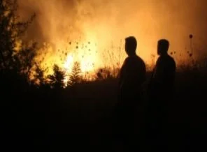 Suriye'de çıkan yangın Hatay'daki ormanlık alana yayıldı
