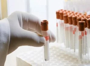 Türk Bilim insanına Avrupa'dan rekor destek