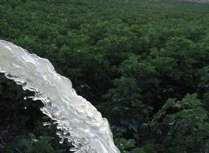 Bakanlık kaliteli su için takipte
