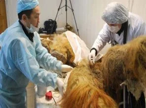 Canlı bulundu bilim dünyasını heyecanlandırsı