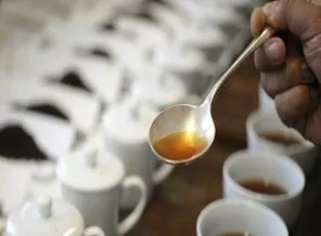 Çay tansiyonu düşürüyor!