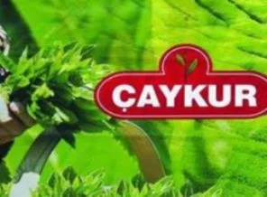 ÇAYKUR, üreticisine 466 milyon lira ödedi