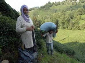 Fadime yükten kurtuldu, Temel'in çilesi arttı