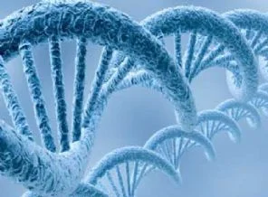 İnsan DNA'sının tam analizi yapıldı