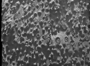Mars'ta esrarengiz küreler keşfedildi