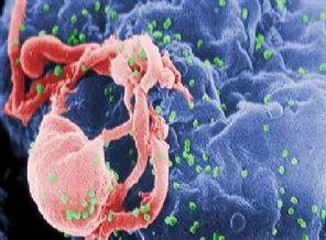 Mutasyon HIV'in ilaç direncini kırıyor