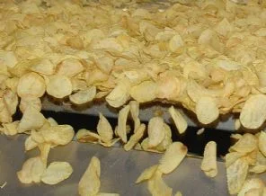 Şişmanlatmayan cips üretildi