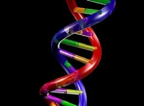 Şüphelinin yüzü DNA'dan belirlenecek
