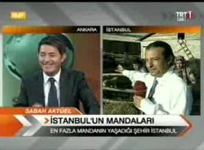 TRT 1 spikerinden Manda gafı