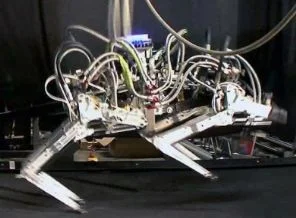 Usain Bolt'tan bile hızlı robot!