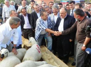 Atalay: Suriye'de silahların susması memnuniyet verici