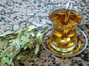 Gribe karşı doğal kalkan