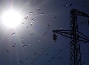 Küçük önlemler elektrik faturasını düşürüyor