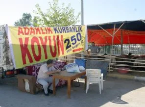 Kurbanlık satıcısı pankart açtı: Seç beğen al 250 lira