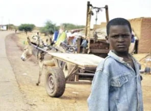 Mali'de askeri operasyon hazırlığı