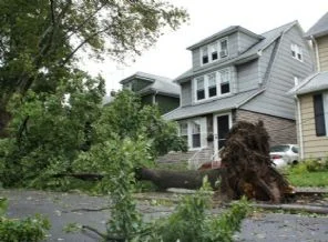 Sandy 39 can aldı
